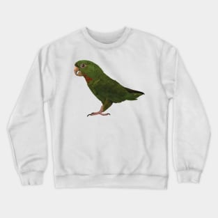 red-throated parakeet Crewneck Sweatshirt